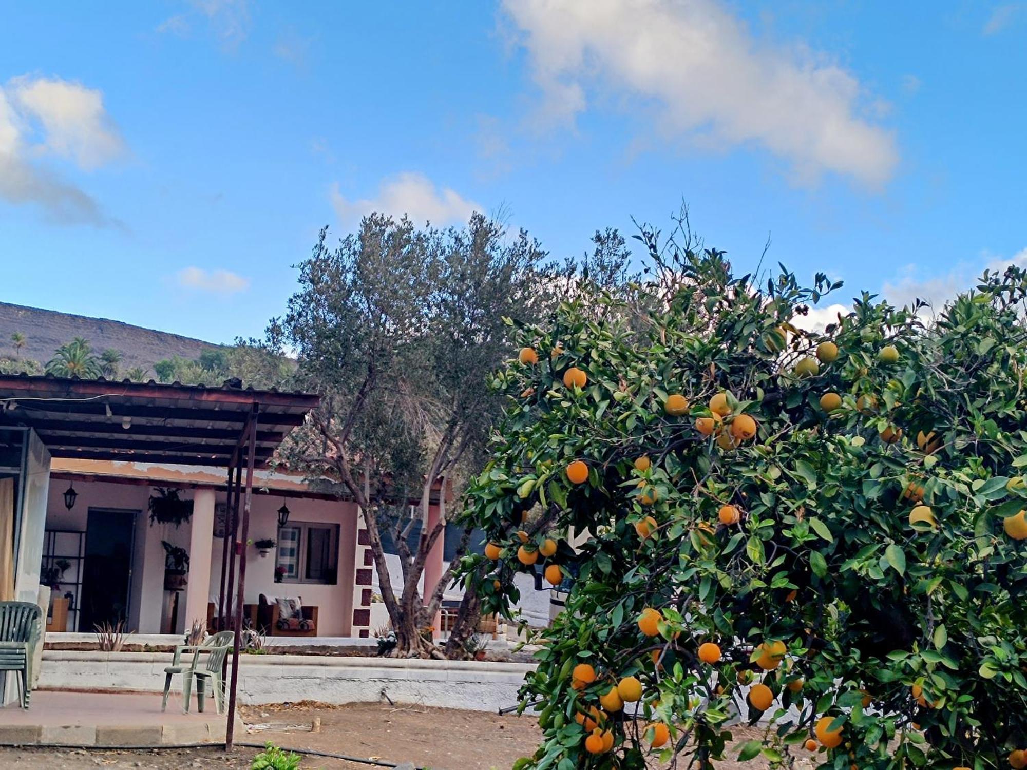 La Casa De La Pradera Bed and Breakfast Santa Lucia Buitenkant foto